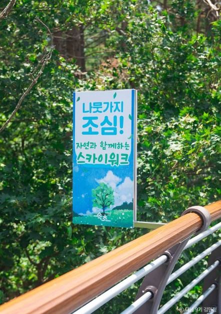 속초 여행 가볼만한곳 강원도 여름휴가 추천_설악향기로_1-2