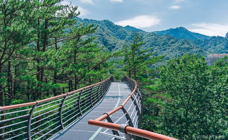 속초 여행 가볼만한곳 강원도 여름휴가 추천_설악향기로_1-4