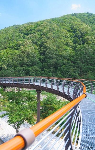 속초 여행 가볼만한곳 강원도 여름휴가 추천_설악향기로_1-7