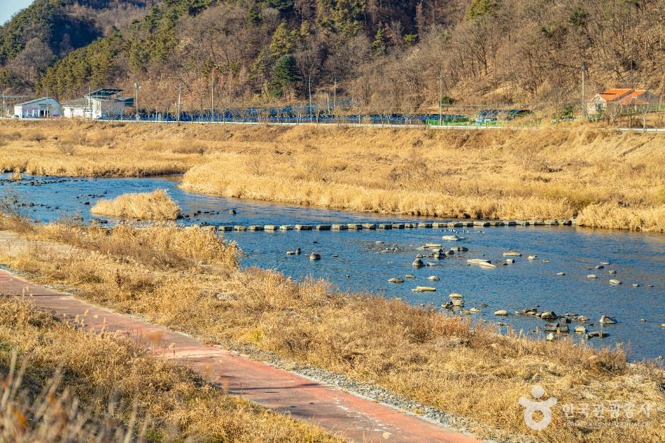 횡성_섬강(섬강유원지) (2)