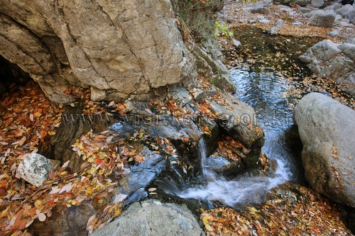강원도_원주시_세렴폭포_023