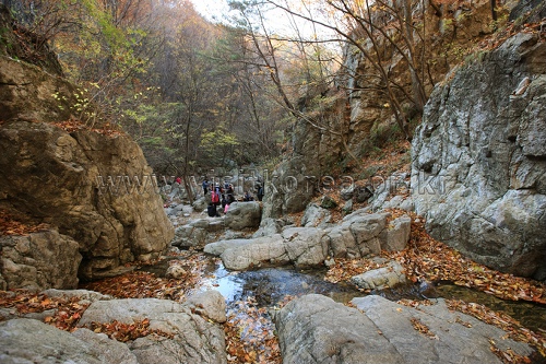 강원도_원주시_세렴폭포_021