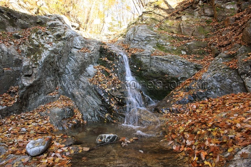 강원도_원주시_세렴폭포_020