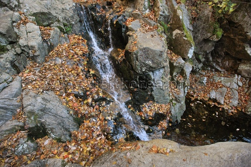 강원도_원주시_세렴폭포_009