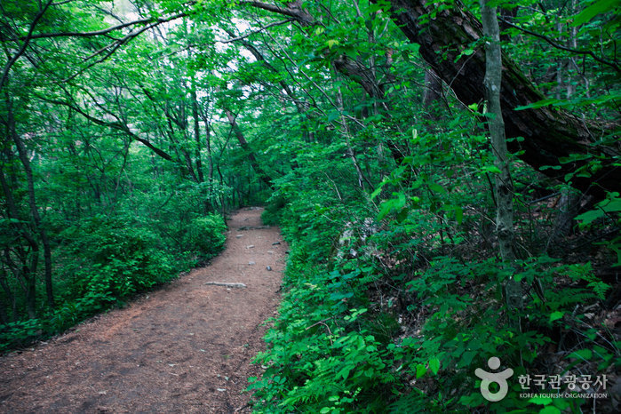 강원_원주_세렴폭포03