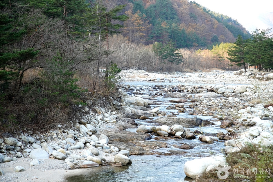 소금강장천마을 (8)