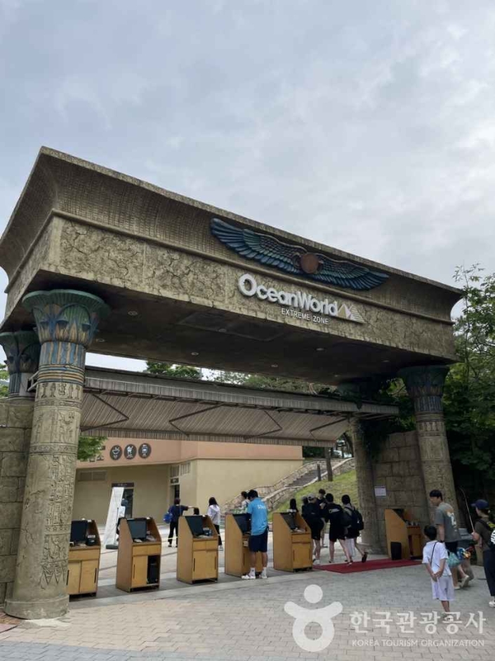 소노벨 비발디파크 오션월드 (4)