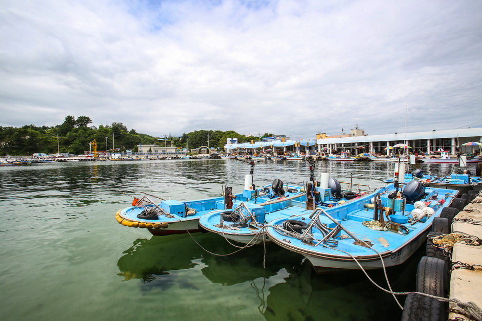 강원도_강릉시_소돌항 (5)