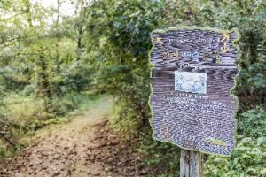 소이산 생태숲 녹색길