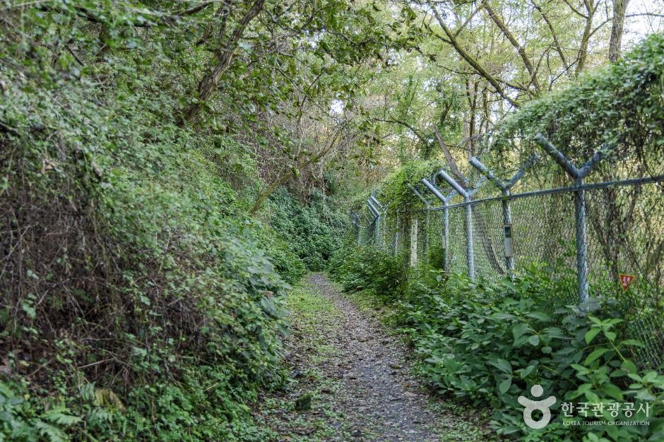 철원_소이산 생태숲 녹색길 (2)