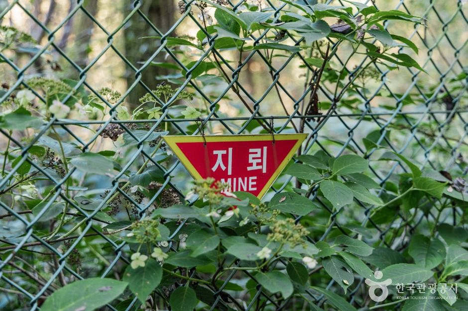 철원_소이산 생태숲 녹색길 (3)