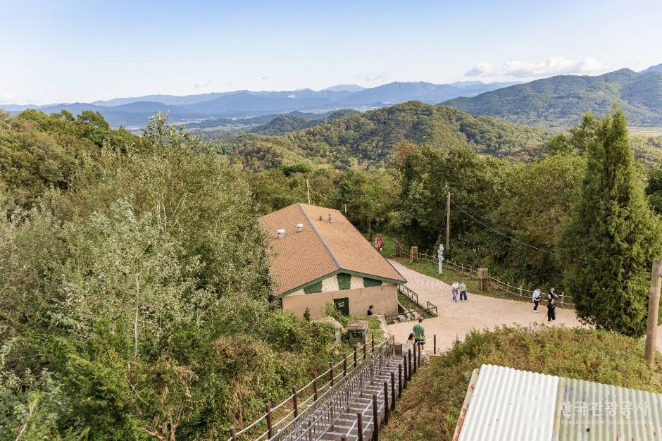 철원_소이산 생태숲 녹색길 (5)