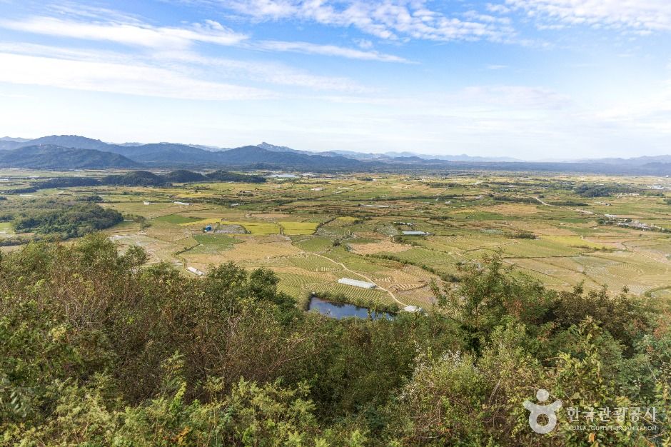 철원_소이산 생태숲 녹색길 (7)