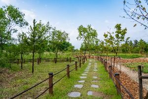 영랑호 습지생태공원