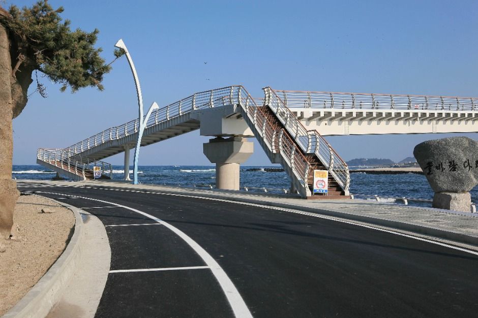 강릉_솔바람다리 (2)