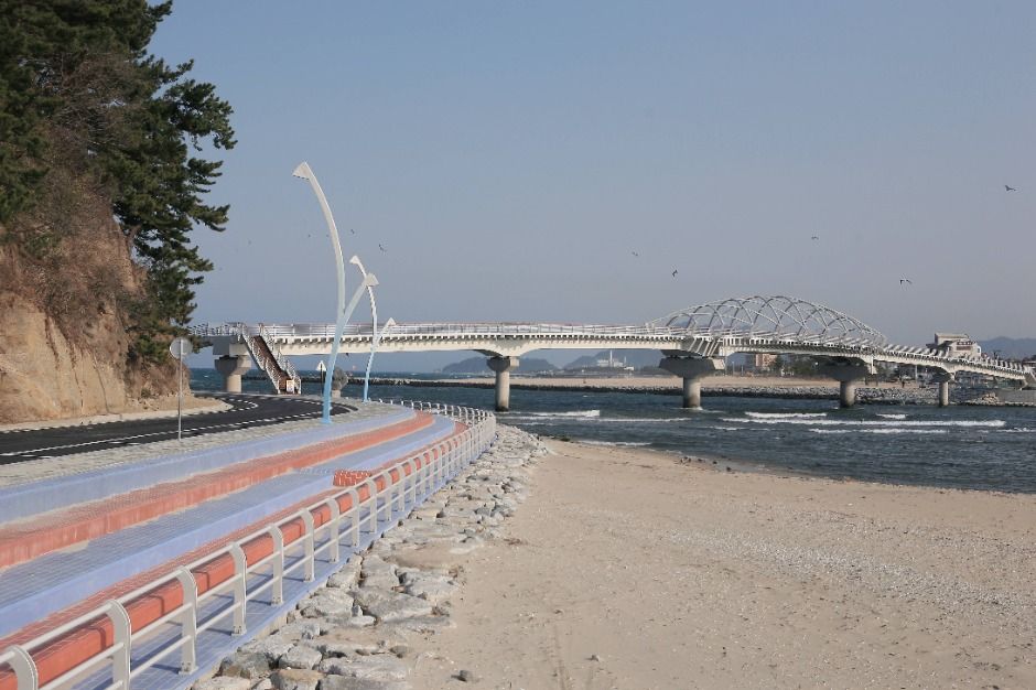 강릉_솔바람다리 (5)