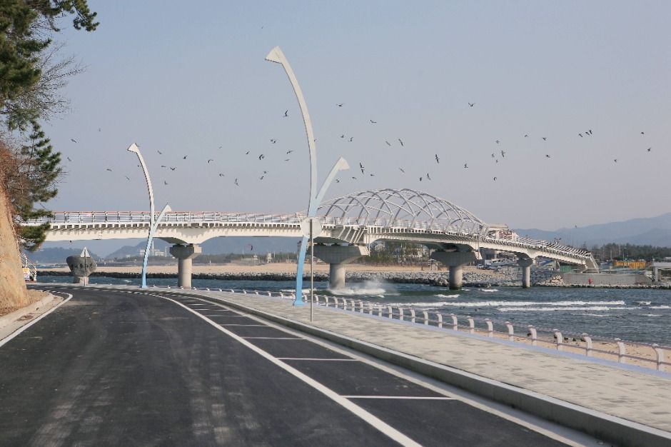 강릉_솔바람다리 (6)