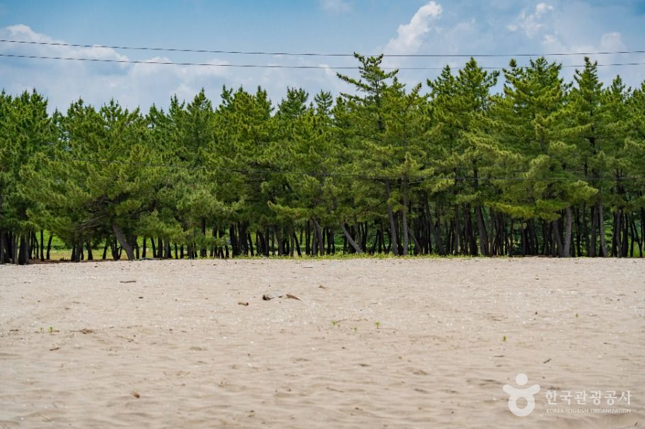 양양_송전해수욕장 (6)