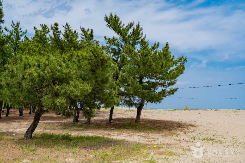 양양_송전해수욕장 (7)