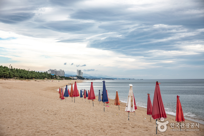 강원_강릉_송정해변(송정해수욕장)05