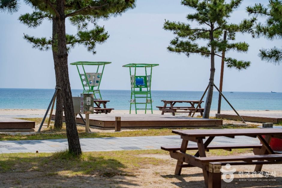 고성_송지호 해수욕장 (2)