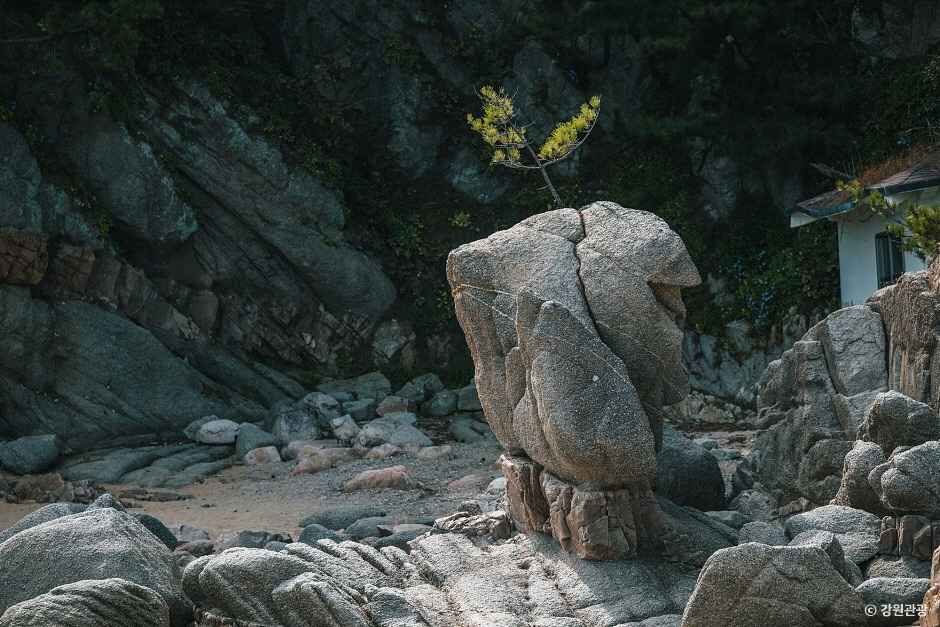 고성_송지호 해안 서낭바위 (4)