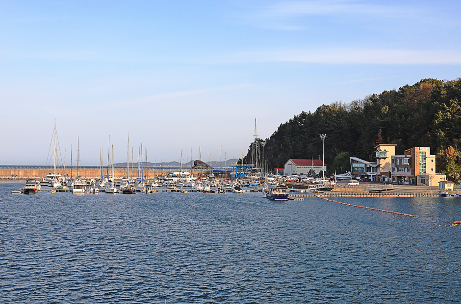 강원-양양=수산항 (2)