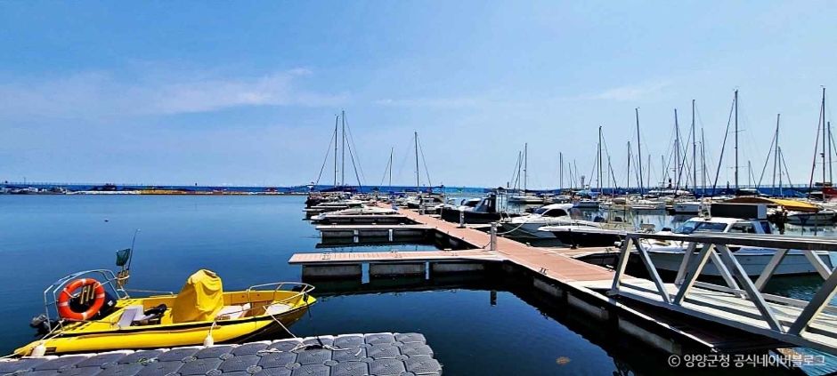 양양 수산항 (3)