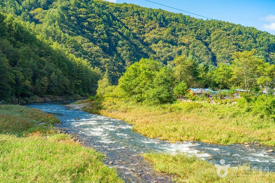 양구_수입천 (3)