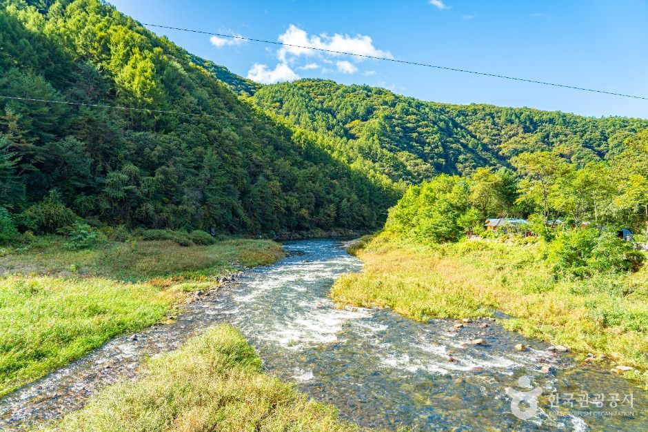 양구_수입천 (4)