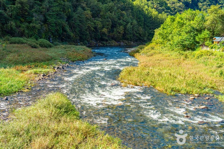 양구_수입천 (5)