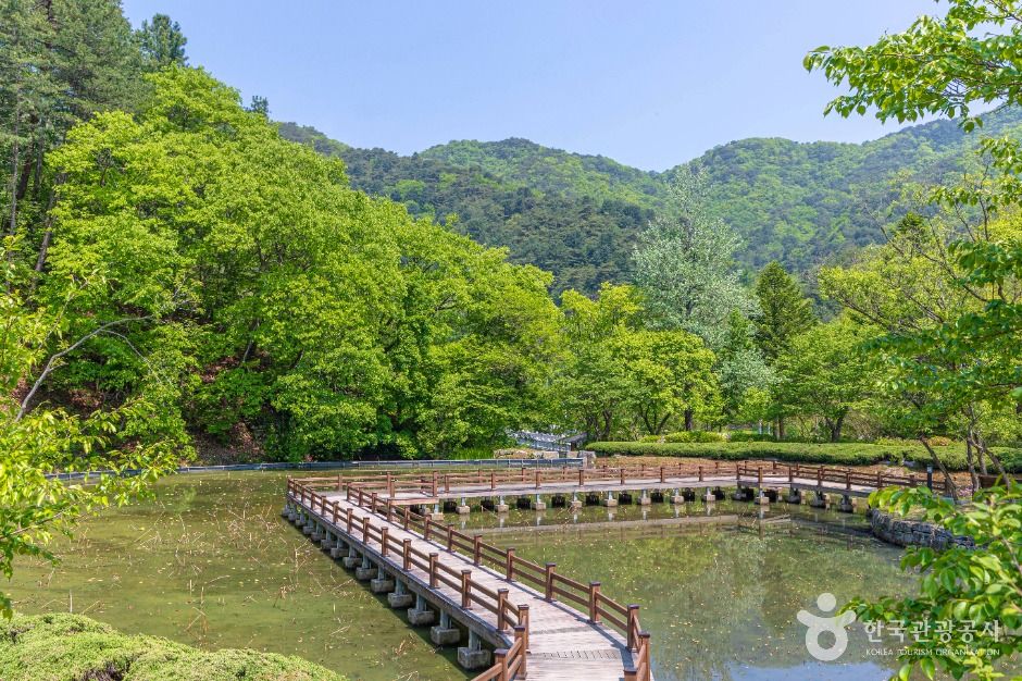 홍천 수타사 (4)