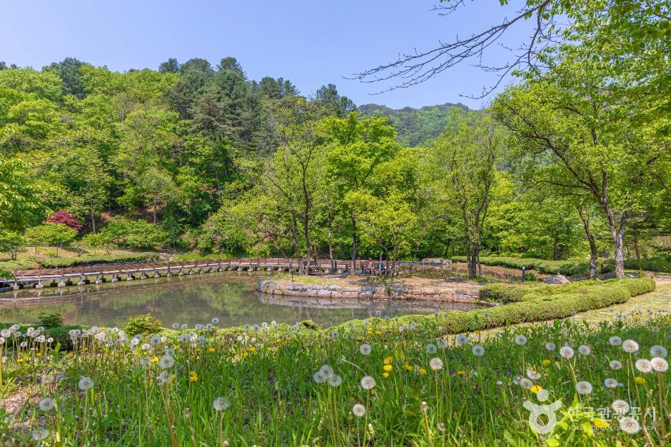 홍천 수타사 (5)