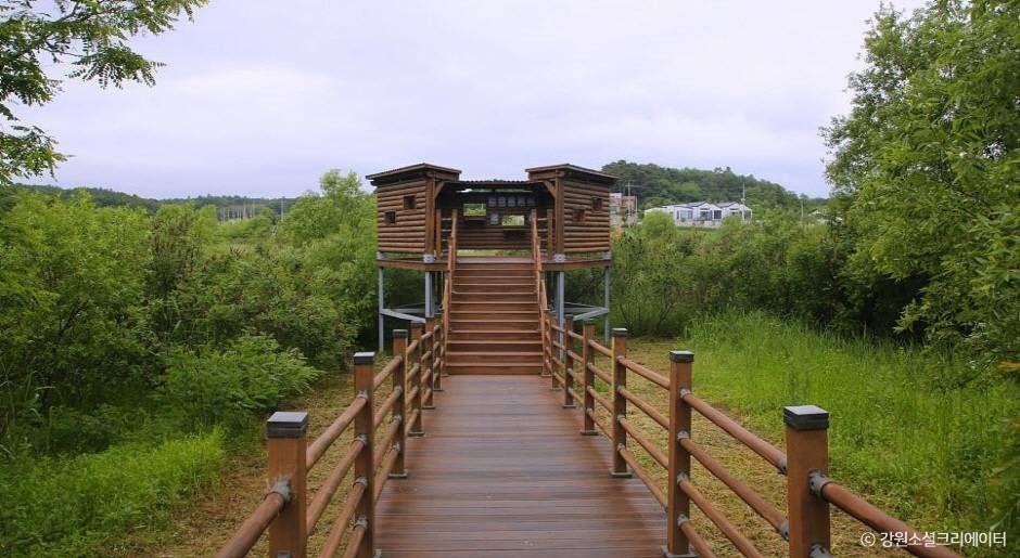 강릉_순포습지 (3)