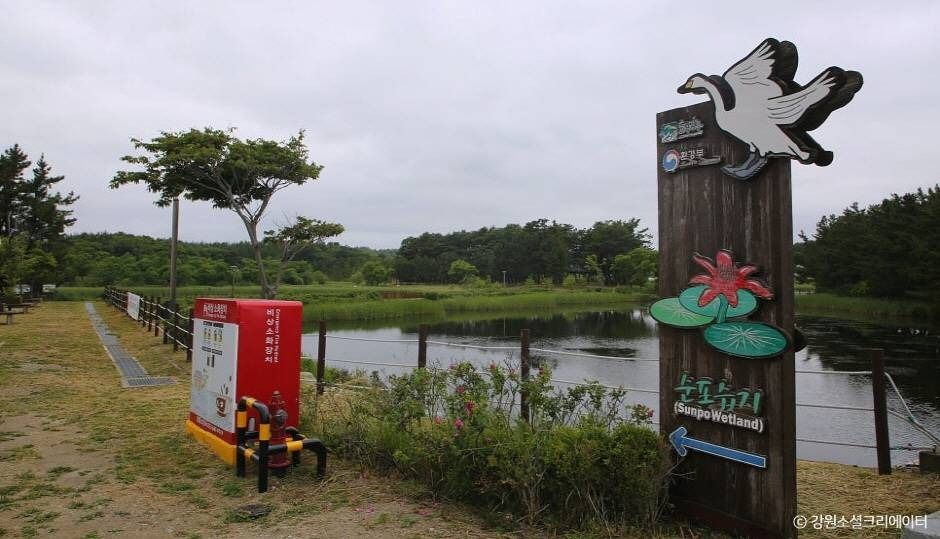 강릉_순포습지 (5)
