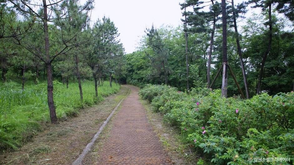 강릉_순포습지 (7)