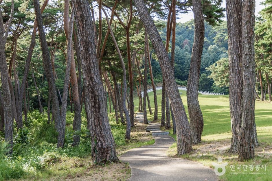 춘천_신장절공묘역 (4)