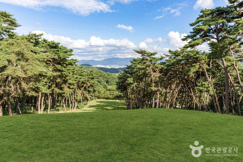 춘천_신장절공묘역 (7)