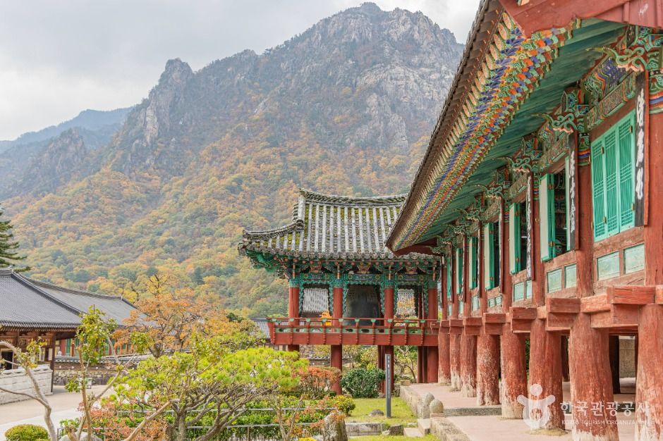 속초_신흥사 (4)