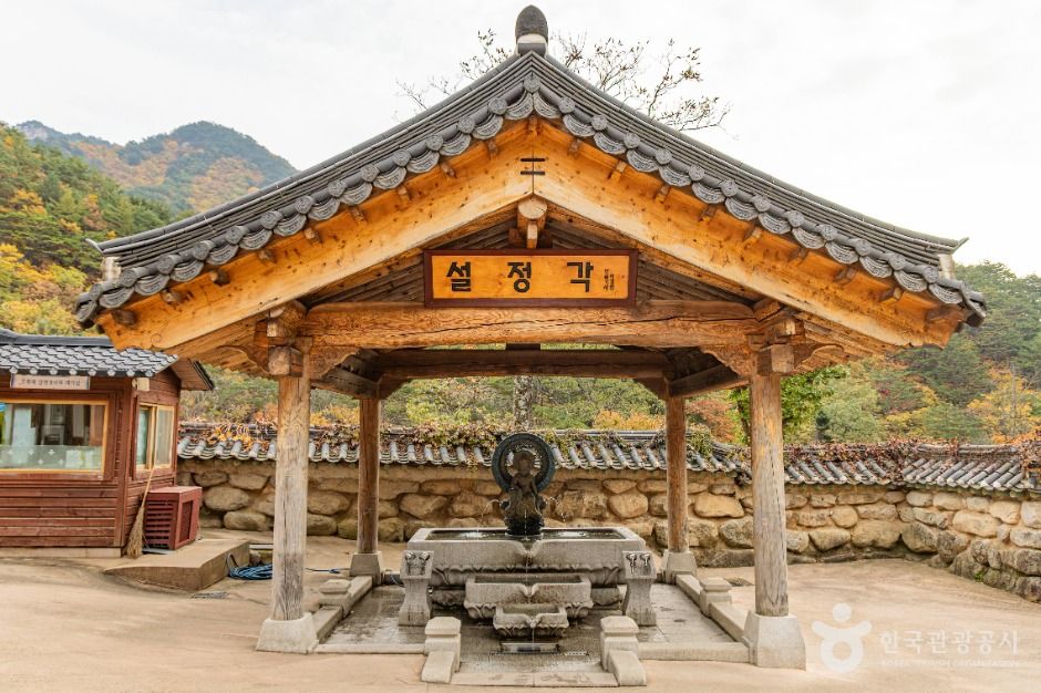 속초_신흥사 (5)