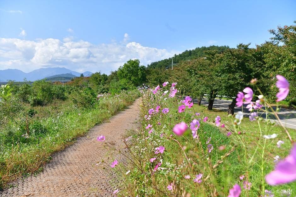 속초_쌍천길 (2)