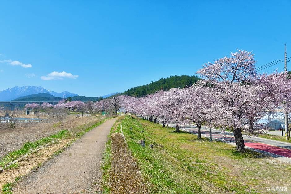 속초_쌍천길 (3)
