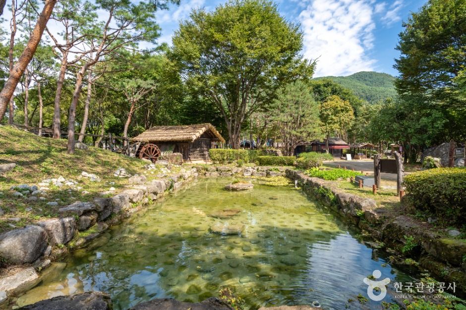 정선_아라리촌 (3)