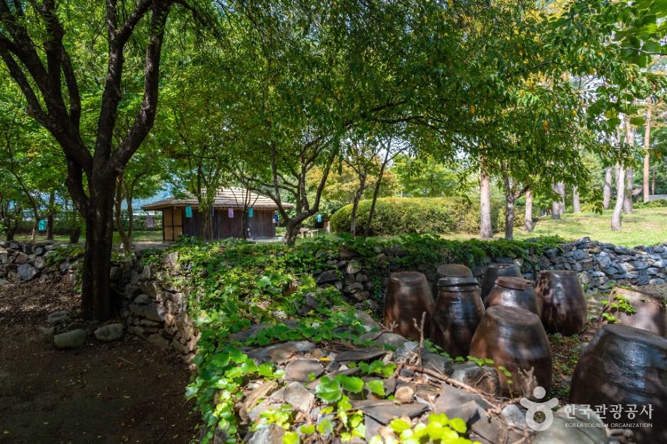 정선_아라리촌 (4)