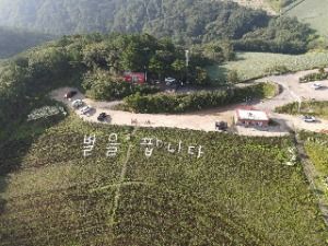 강릉안반데기관광농원