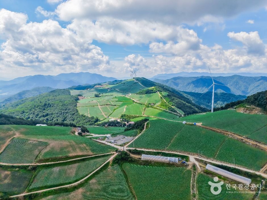 강릉_안반데기 (3)