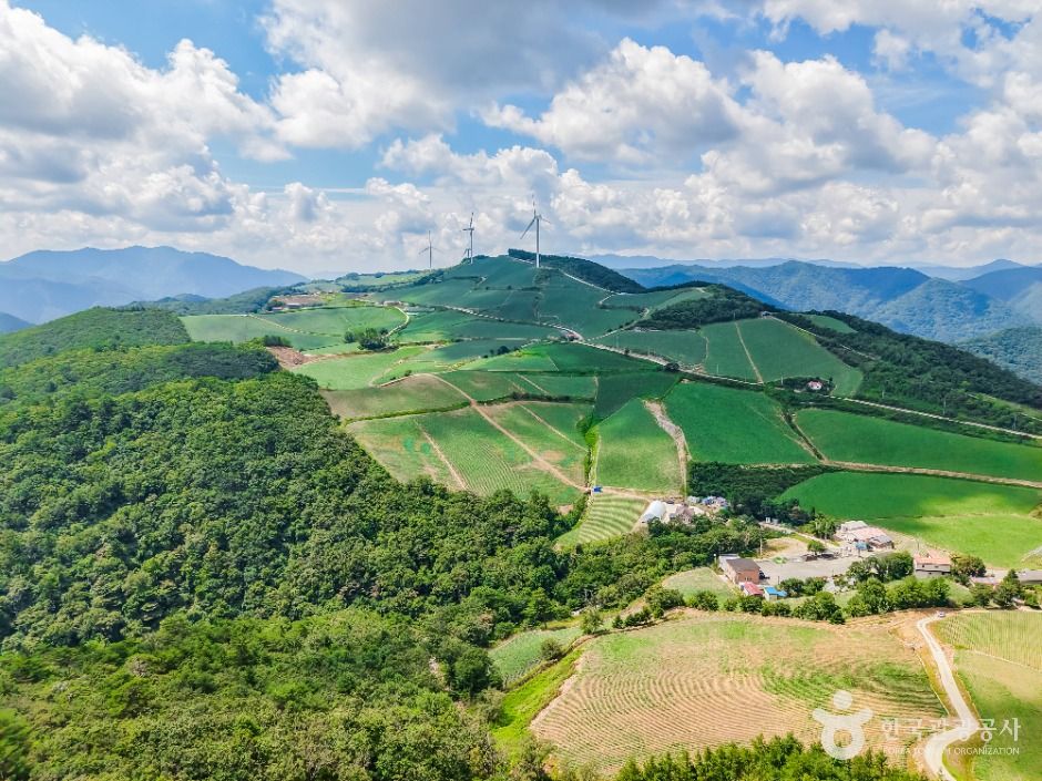 강릉_안반데기 (6)