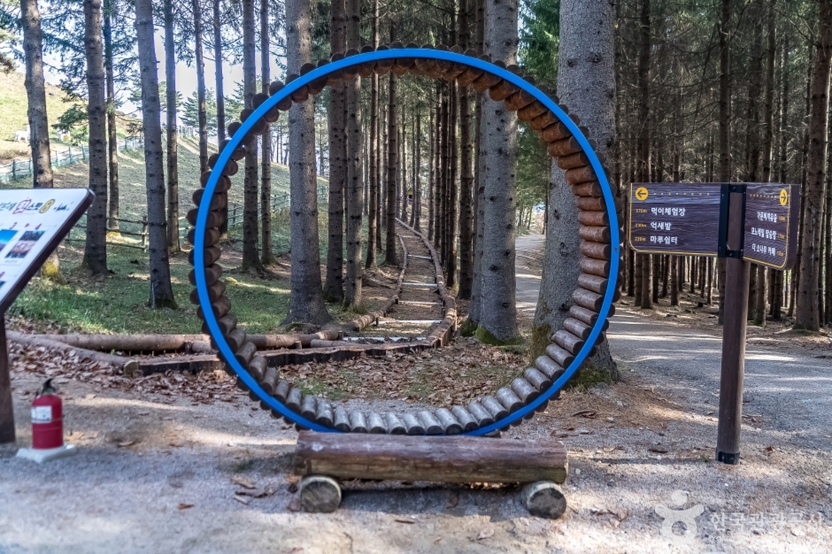 알파카골드팜 (3)