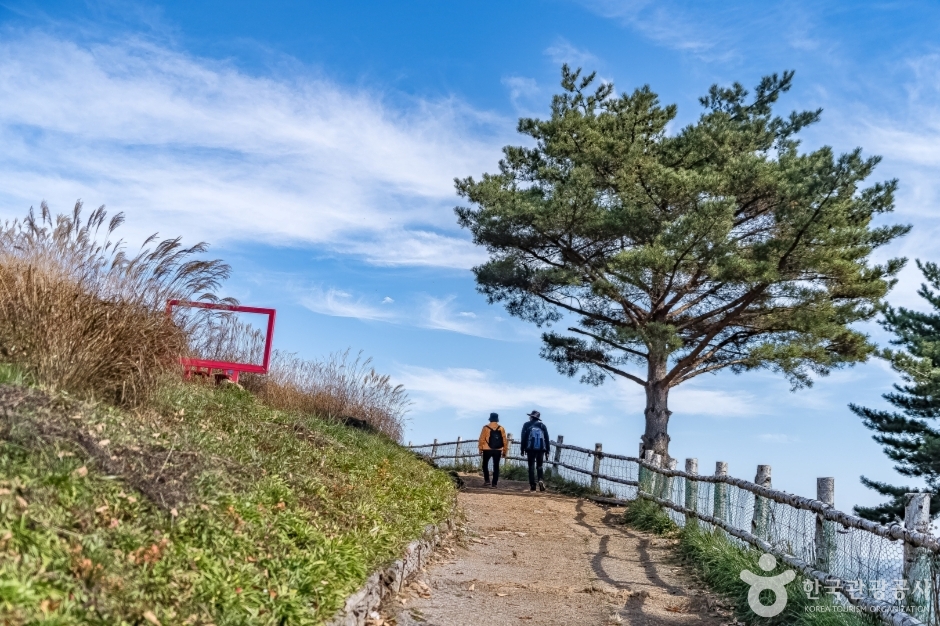 알파카골드팜 (4)