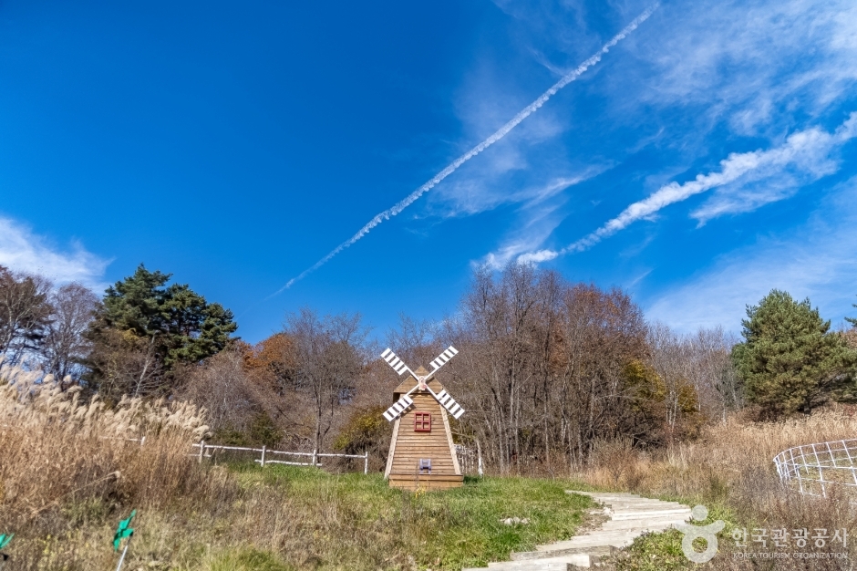 알파카골드팜 (8)